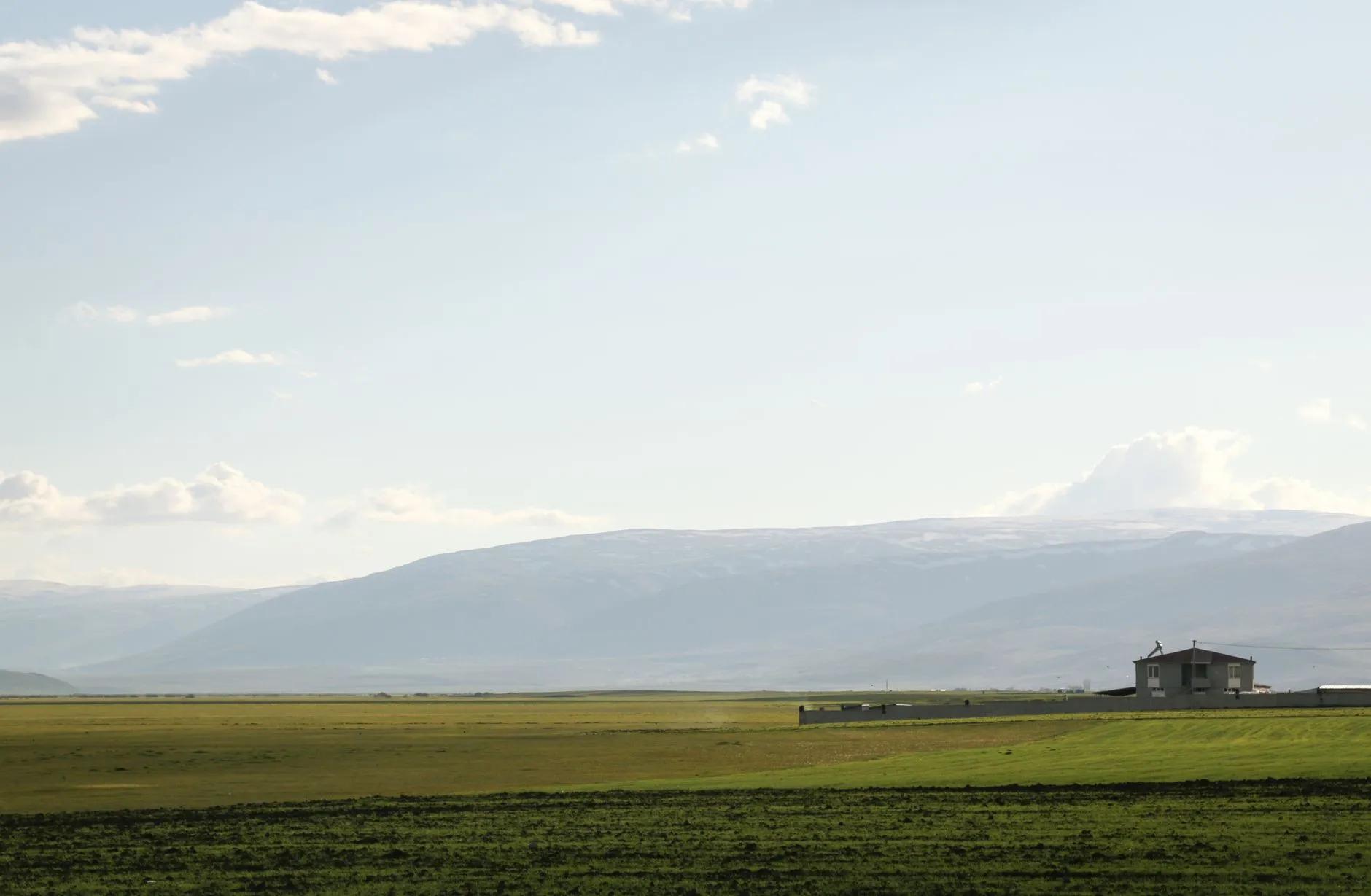 Ardahan