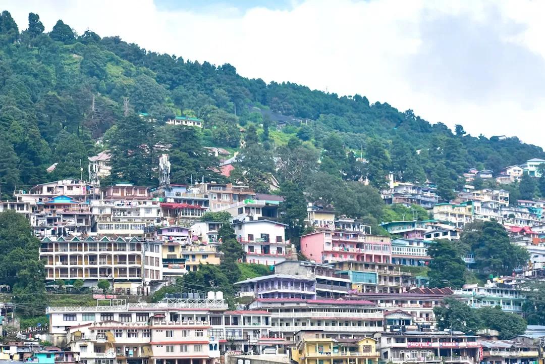 Bakri