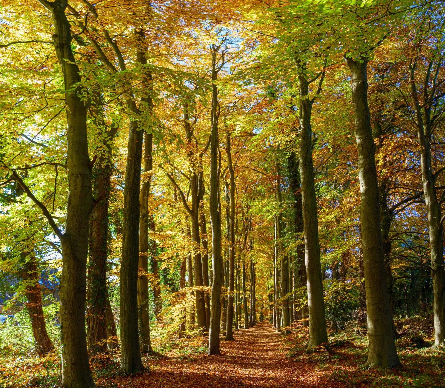 Basingstoke