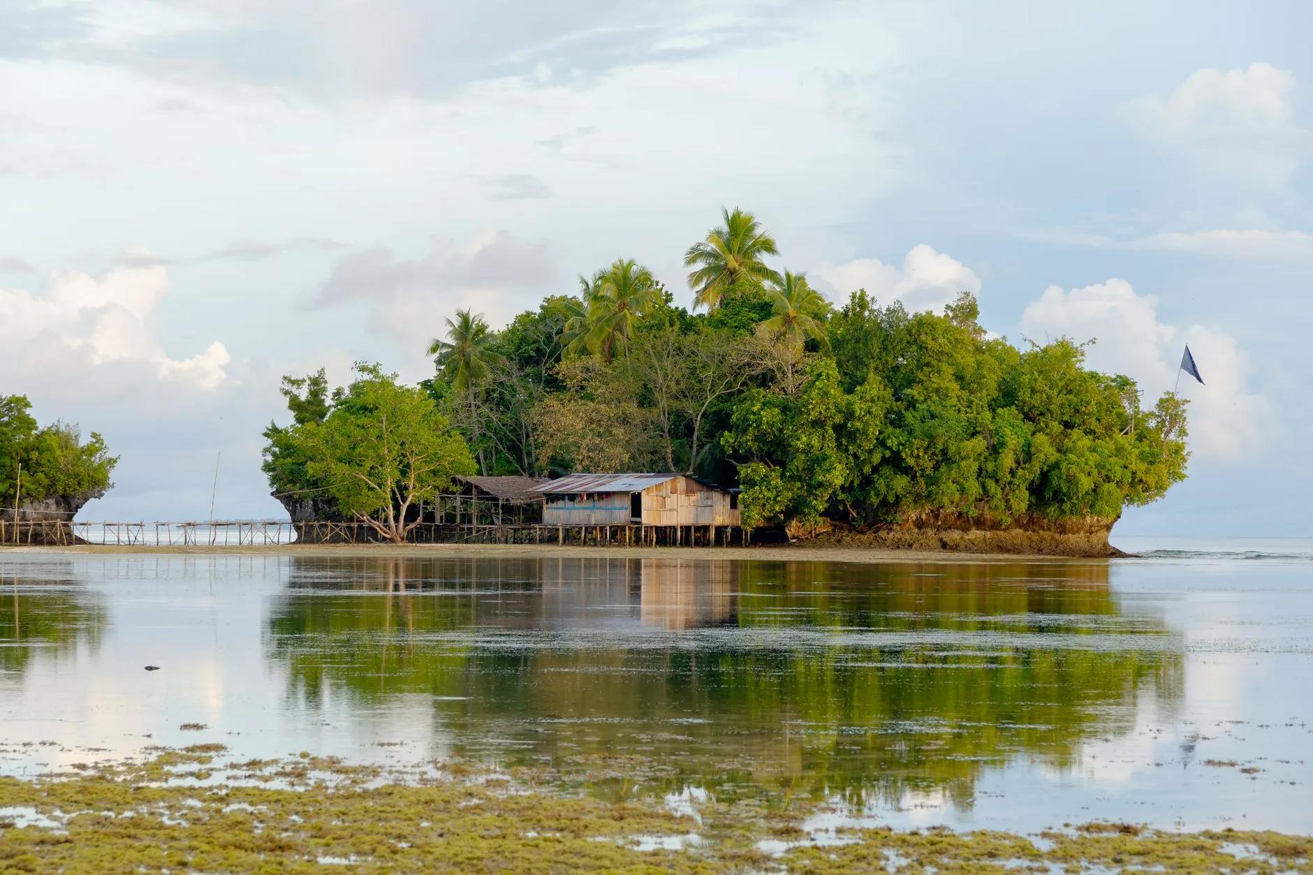 Biak