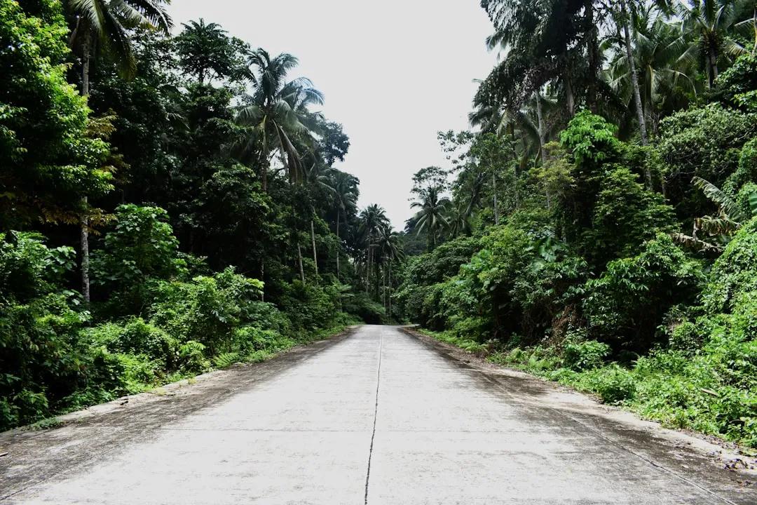 Camiguin