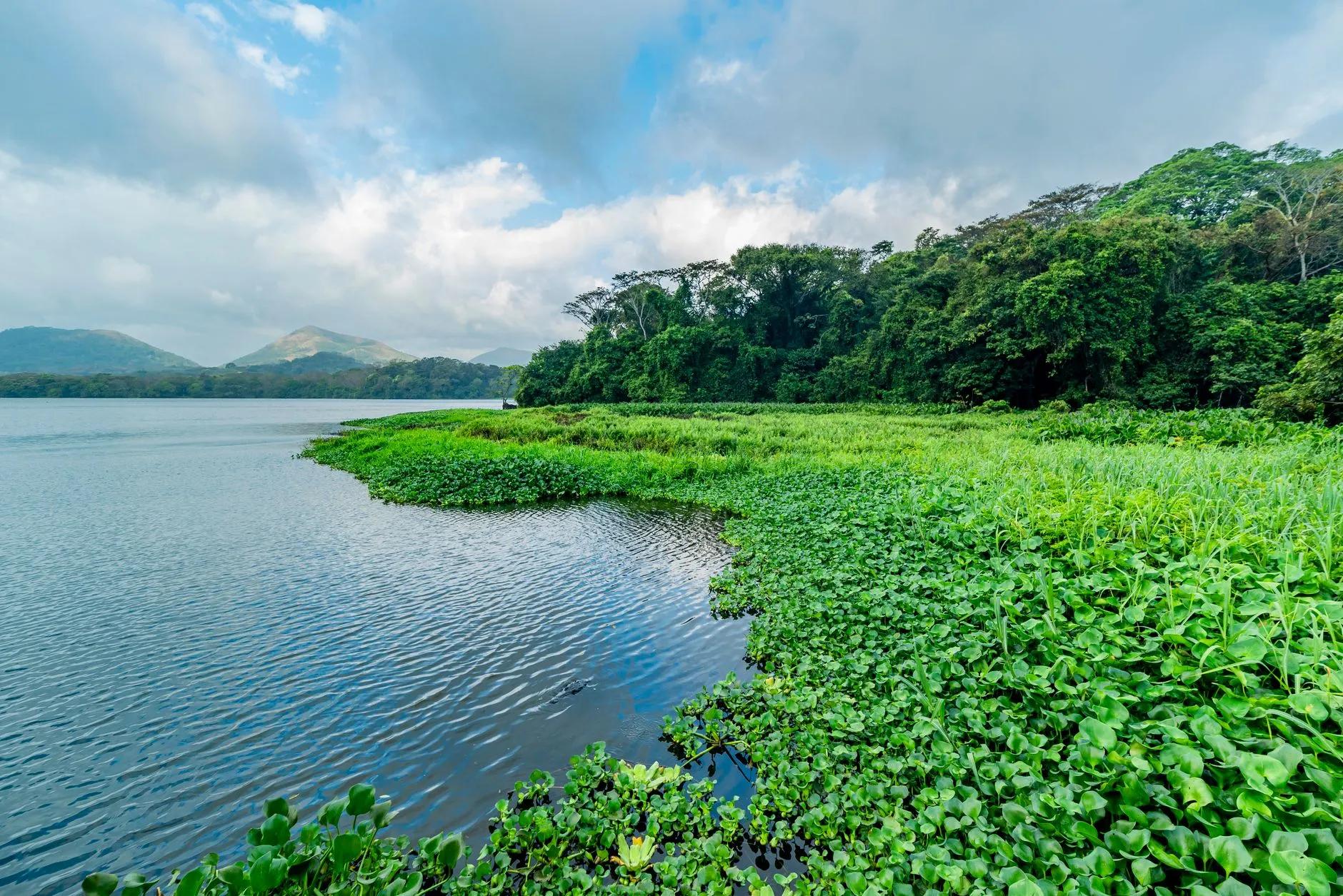 Catemaco