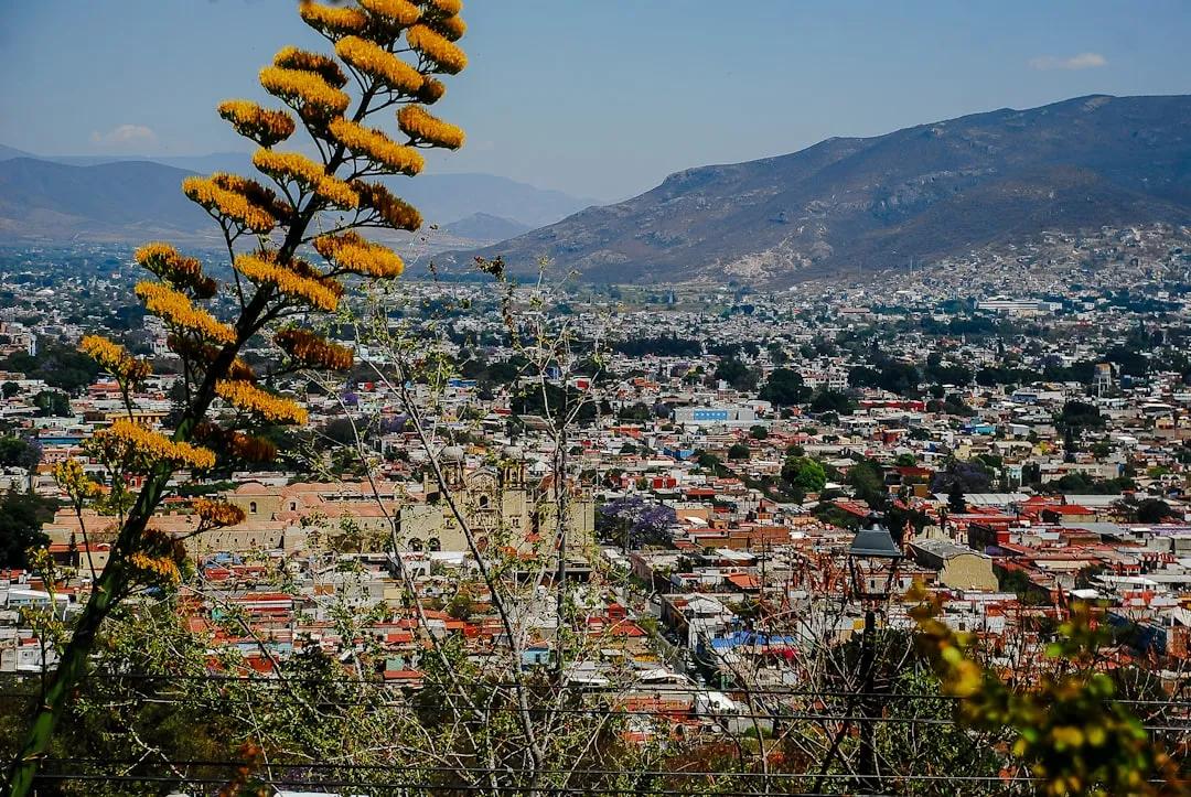 Ciénega de Flores
