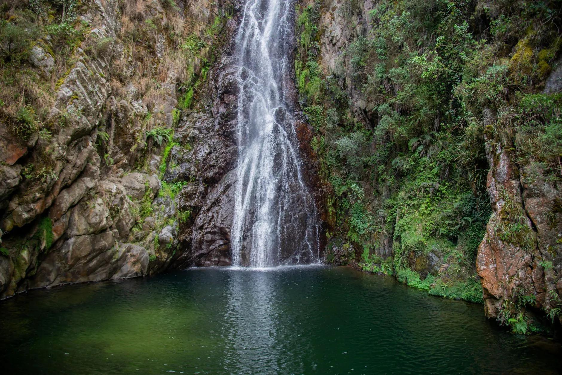 Constanza