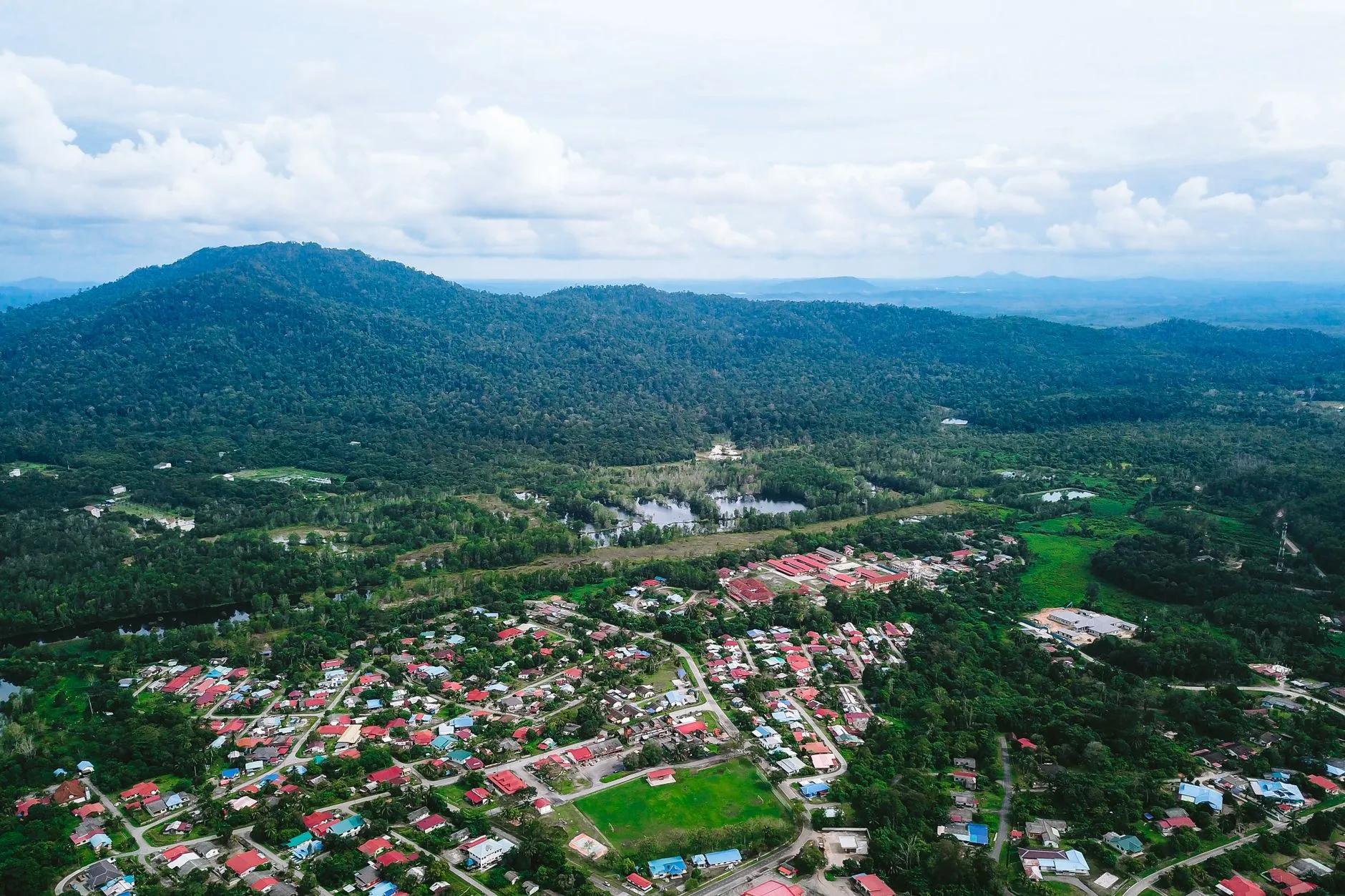FELDA Chini
