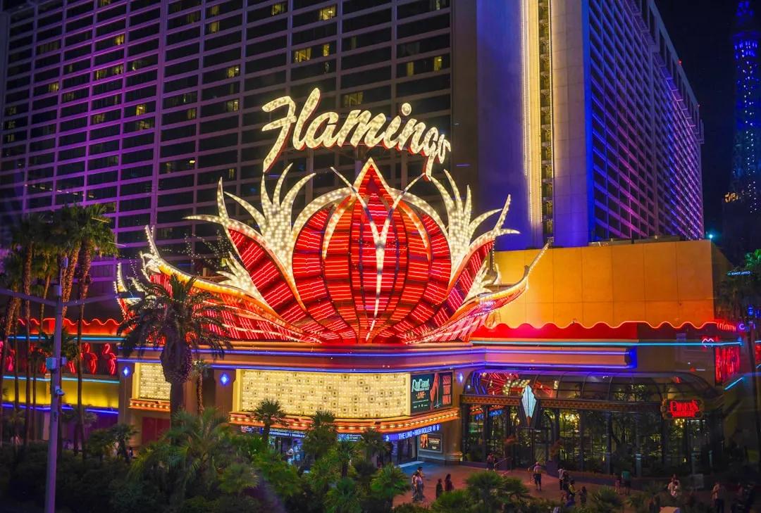 Flamingo