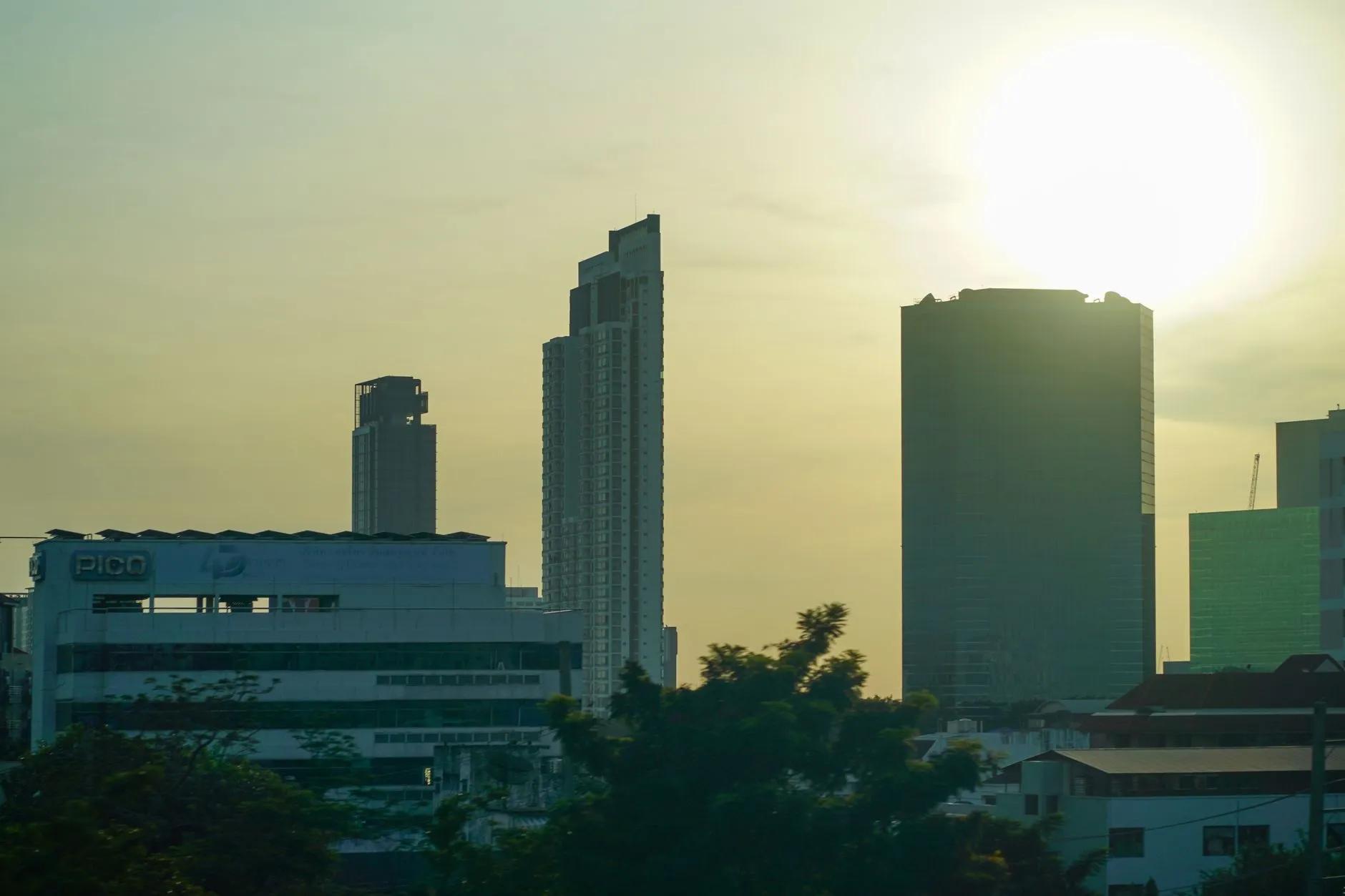 Jelutong