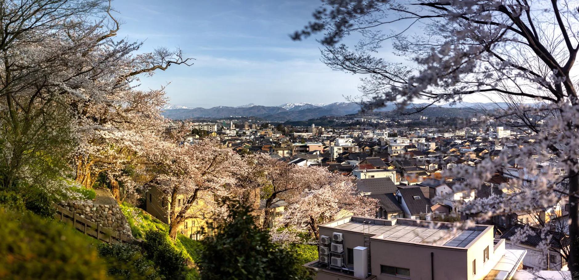 Jinhae