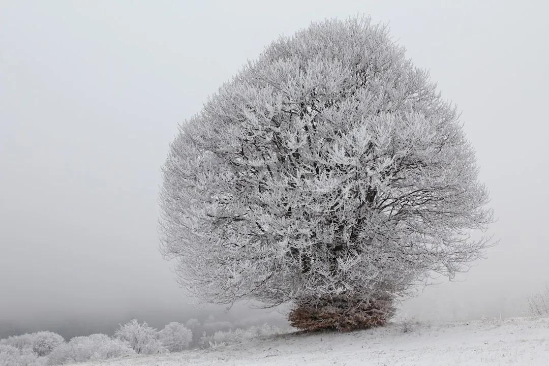 Kyustendil