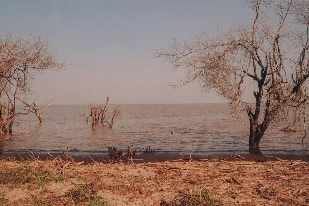 Lake Manyara
