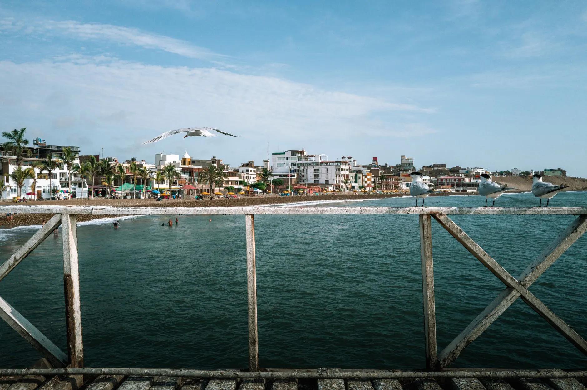 Las Gaviotas