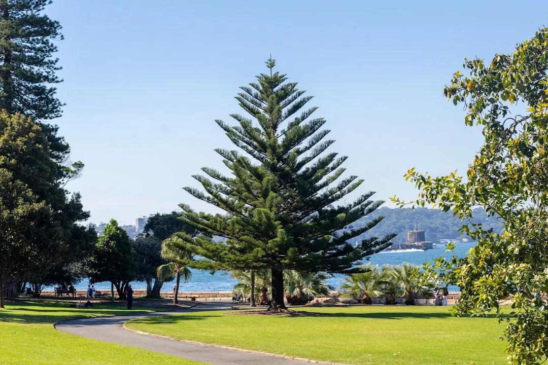 Norfolk Island