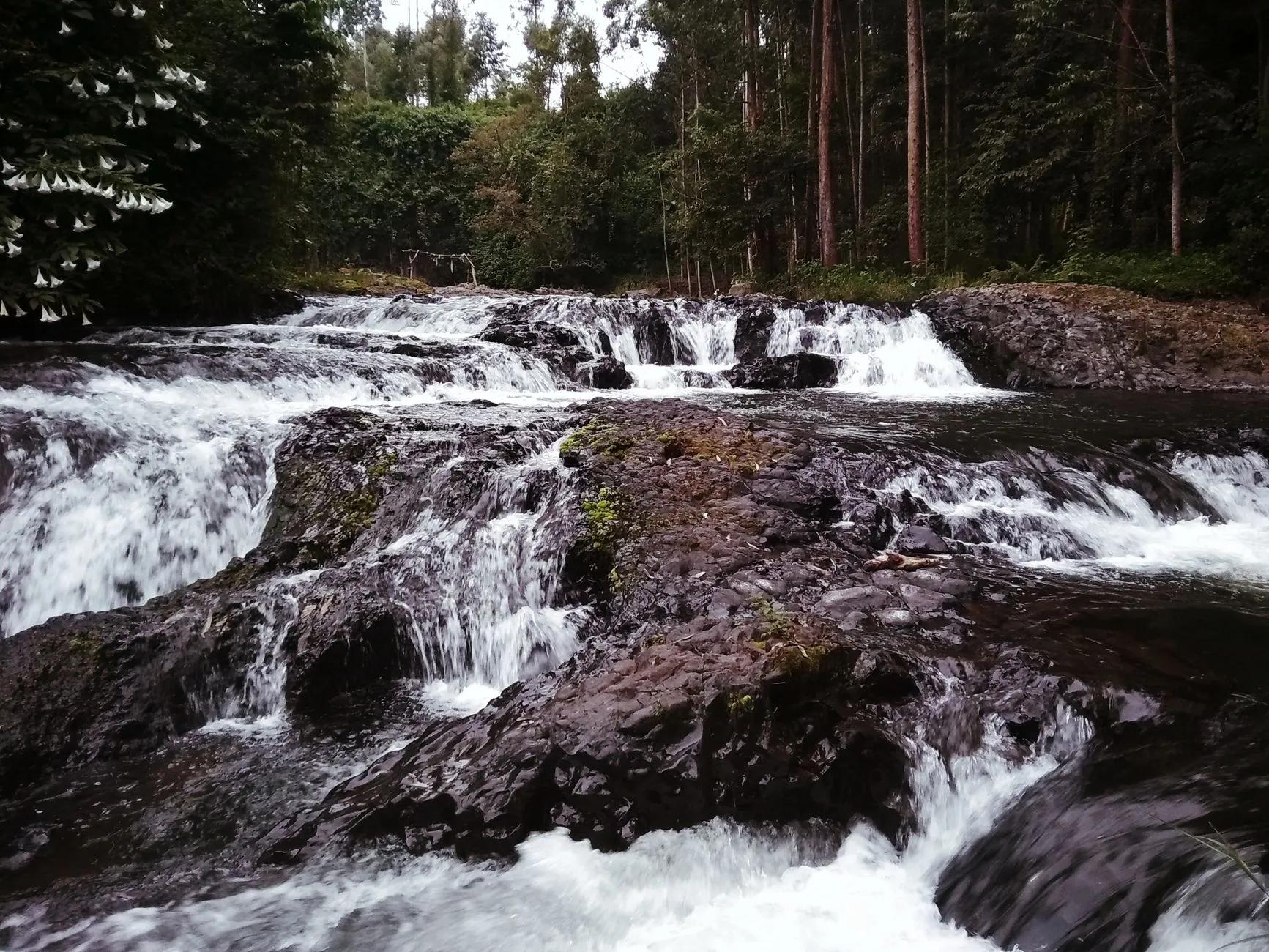 Nyeri
