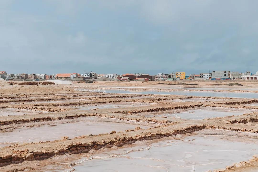 Salinas