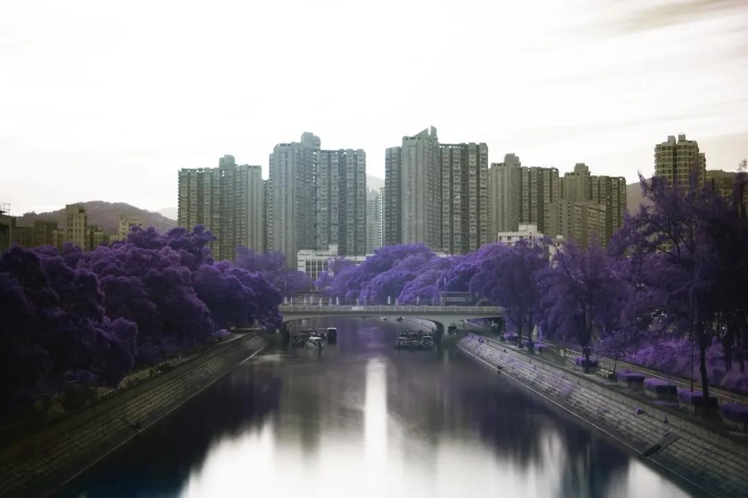 Tai Po