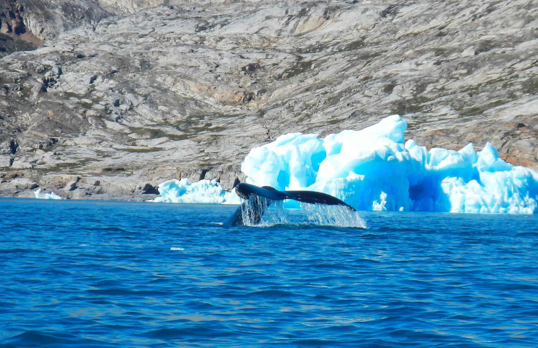 Tasiilaq