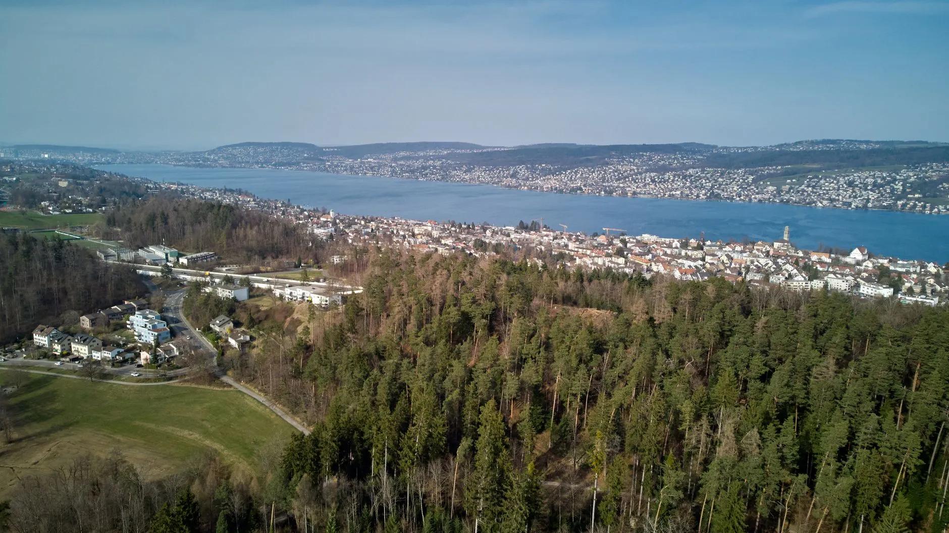 Thalwil