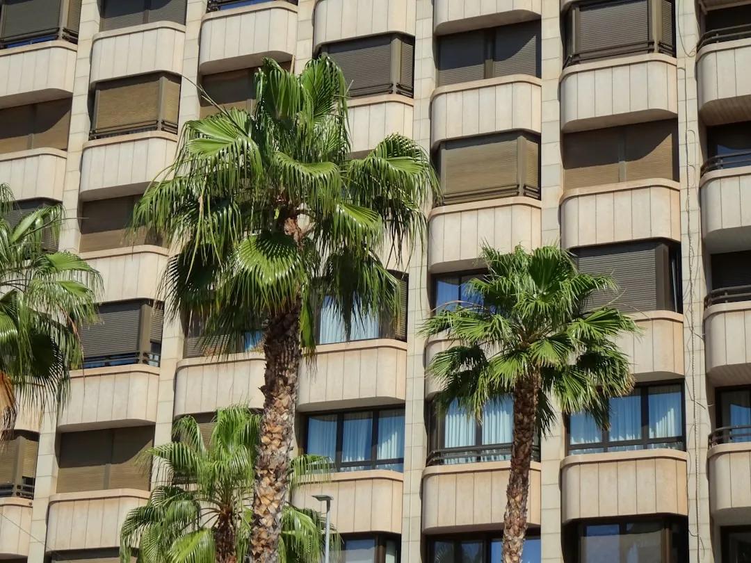 Ventanas