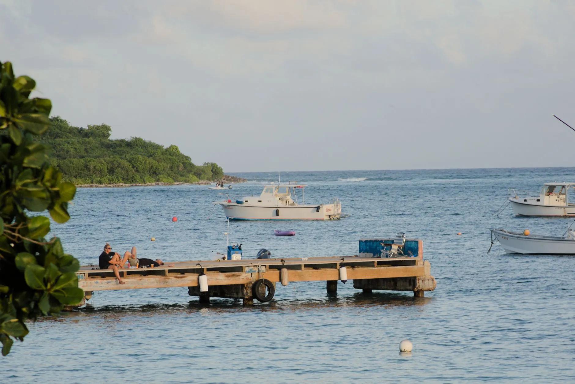 Vieques