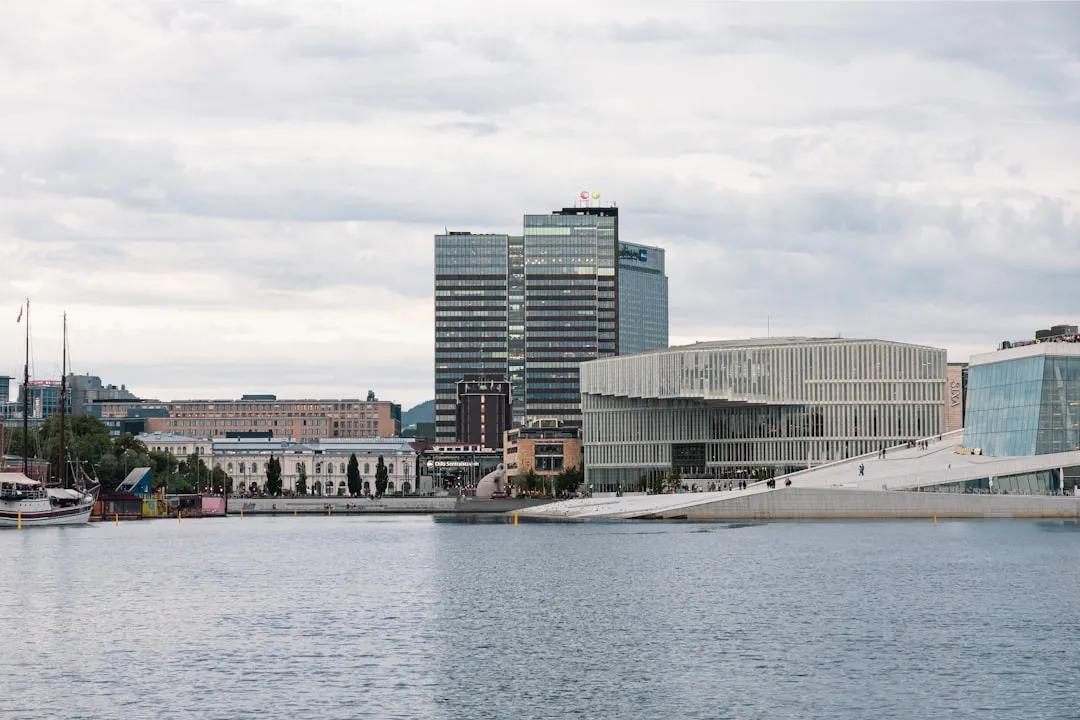 Norveç