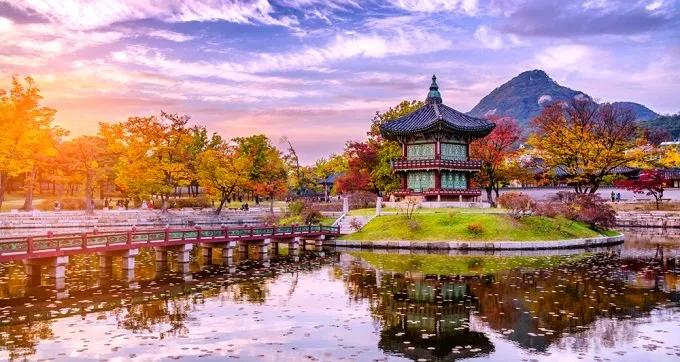 Ncl Jade ile Sonbahar Kiraz Çiçekleri Koyo Zamanı - Vizesiz Uzakdoğu İncileri Japonya & Güney Kore