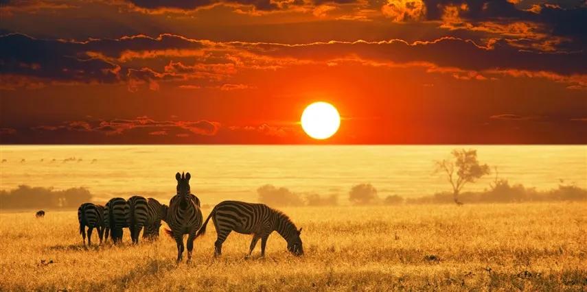 Dolu Dolu Güney Afrika & Maurıtıus Turu Rotası