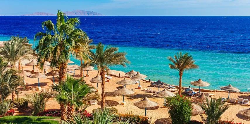 Promosyon Sharm El Sheikh Turu Ajet Havayolları ile 3 Gece Transfer Saatine Kadar Otel Kullanımlı